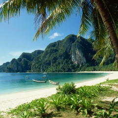景点模块 