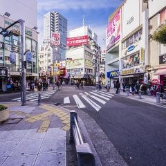 景点模块 