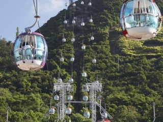 香港10日游_香港旅游深圳出發(fā)_去香港旅游多少錢