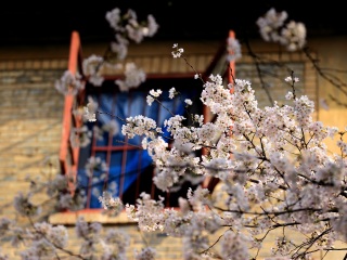 去湖北旅游_到湖北旅游多少錢(qián)_湖北旅游報(bào)團(tuán)價(jià)格