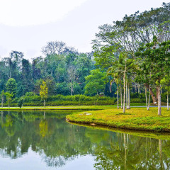 景点模块 