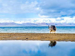 西藏旅游報團(tuán)價格_去西藏旅游多少錢_西藏旅游費用多少