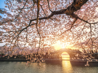 華東旅行團(tuán)_華東游報價_華東旅游要多少錢2021