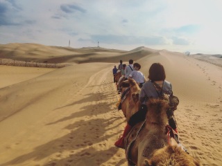 去青海跟团旅行_青海旅游哪儿好_出发到青海旅游
