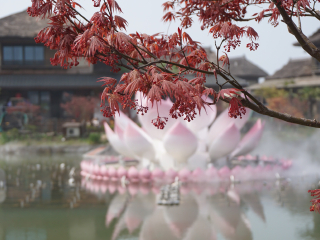 華東游跟團多少錢_華東旅游價格_華東旅行團旅游報價