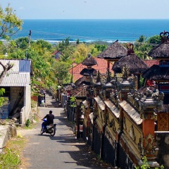 活动模块 