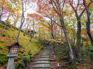日本大阪旅游價(jià)格多少_怎么去日本大阪旅游_日本大阪自由游價(jià)格多少