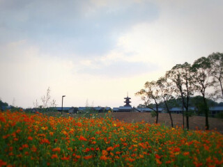 華東游跟團多少錢_華東旅游價格_華東旅行團旅游報價