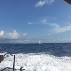 小交通模块 