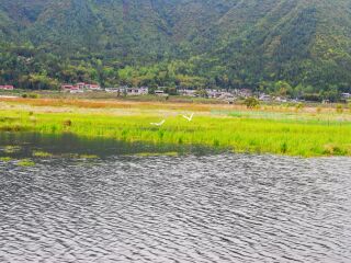 去腾冲的旅行团_豪华腾冲游_腾冲旅游五日游