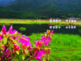 广州到腾冲旅游_东莞到腾冲游_参加腾冲旅游团