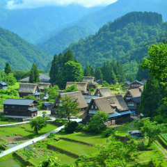 景点模块 