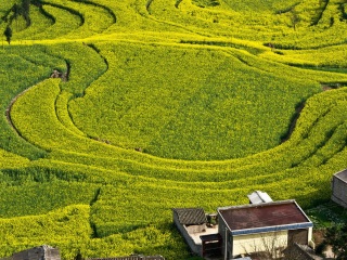 云南昆明旅游要多少錢跟團(tuán)_到云南昆明旅游多少錢_報(bào)團(tuán)去云南昆明多少錢
