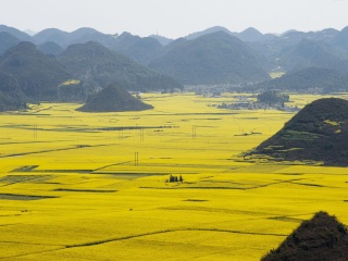 云南昆明旅游團(tuán)報(bào)價(jià)2021_云南昆明旅行團(tuán)_以往國慶云南昆明游價(jià)格