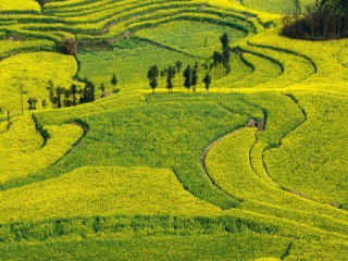 云南昆明旅游要多少錢跟團(tuán)_到云南昆明旅游多少錢_報(bào)團(tuán)去云南昆明多少錢