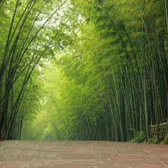 景点模块 