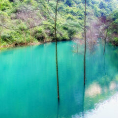 景点模块 
