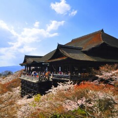 景点模块 