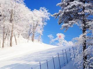 東北九月旅游_東北旅游需要多少錢_去東北報團多少錢