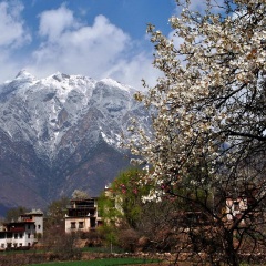 景点模块 