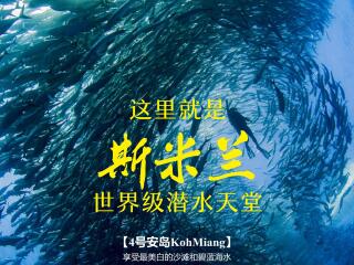 春节普吉岛游报价_普吉岛旅游多少_去普吉岛旅游参团