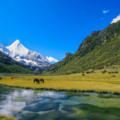 景点模块 