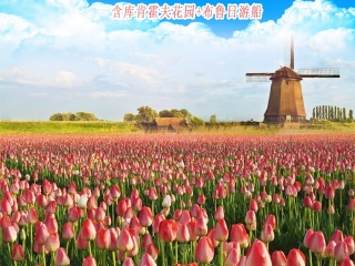 歐洲跟團還是自由行_歐洲旅游要多少錢2021_歐洲旅游報團價格