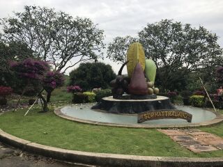 泰國普吉島跟團(tuán)游與自由行_泰國普吉島游跟團(tuán)多少錢_泰國普吉島旅游價格多少