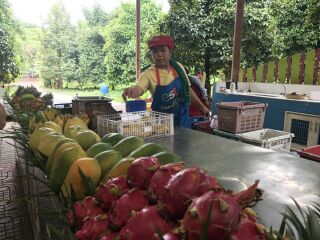 泰國普吉島跟團(tuán)游與自由行_泰國普吉島游跟團(tuán)多少錢_泰國普吉島旅游價格多少