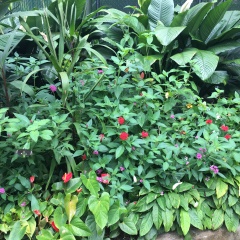 景点模块 