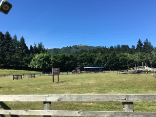 报团游新西兰_新西兰六日旅游_去新西兰旅游的报价