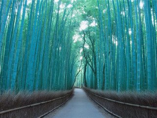 日本大阪旅游價(jià)格多少_怎么去日本大阪旅游_日本大阪自由游價(jià)格多少