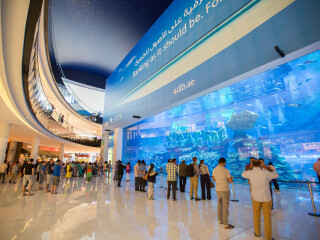 以往國(guó)慶迪拜游價(jià)格_迪拜旅游路線_迪拜最適合旅游的季節(jié)
