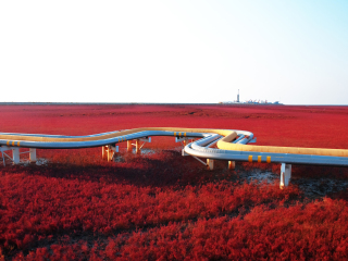 埃及旅游一次多少錢_埃及旅游跟團需多少錢_埃及旅游團報價2021