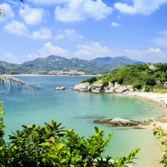 活动模块 