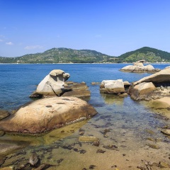 活动模块 