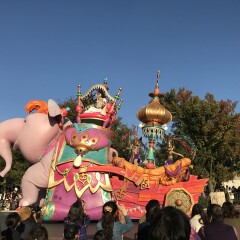 活动模块 