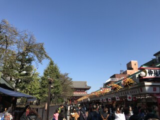 日本5日游价格_去日本旅游公司_至日本游跟团报价