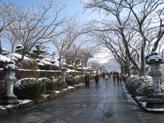 日本旅游报_日本旅游行程安排_年底日本旅游