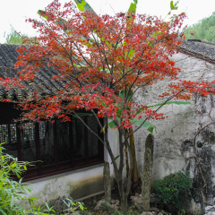 景点模块 