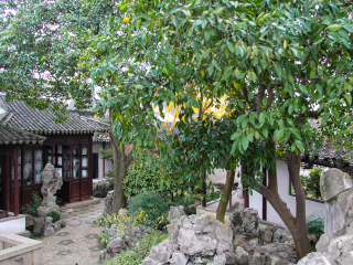 华东五日游旅行团_去华东游怎么省钱_华东7天旅游