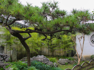 華東蘇州自由行費用_華東蘇州最佳旅游路線_旅游去華東蘇州