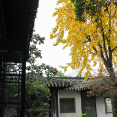 景点模块 