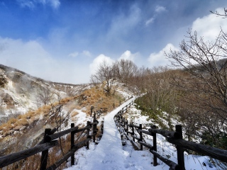 日本双飞旅游报价_跟团去日本游_去日本会议旅游