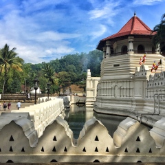 景点模块 