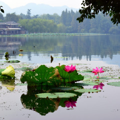 景点模块 
