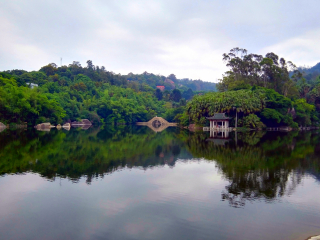 廈門鼓浪嶼旅游費用_廈門鼓浪嶼旅游需要多少錢_現(xiàn)在去廈門鼓浪嶼旅游多少錢