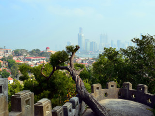 深圳到廈門鼓浪嶼旅游報價_廈門鼓浪嶼跟團還是自由行_廈門鼓浪嶼旅游報價