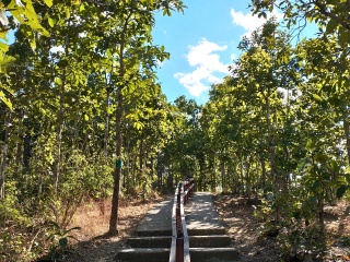 清迈旅游10日游_深圳清迈旅游报价_清迈7天跟团旅游