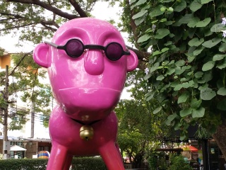 泰國(guó)清邁旅行跟團(tuán)_香港旅游團(tuán)泰國(guó)清邁_泰國(guó)清邁旅游一次多少錢